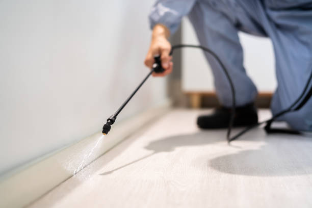 Licensed Pest Control service in Keasbey, NJ - Show Me Pest Control