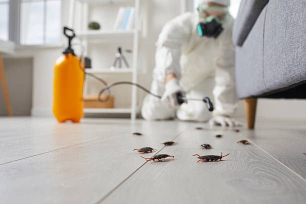 Commercial Kitchen Cockroach Control in Keasbey